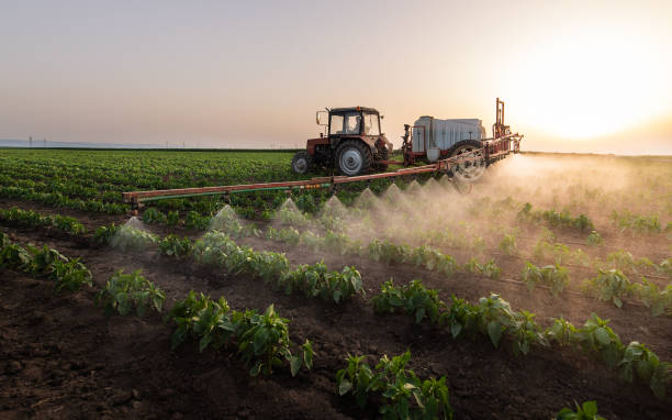 Best Pest Removal Services  in Keary, NE