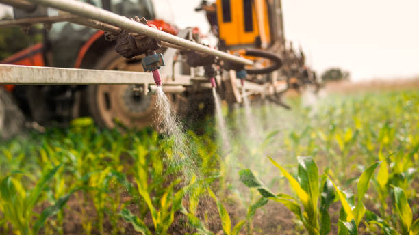 Insect Control in Kearney, NE